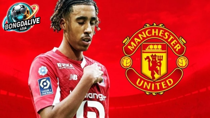 Bóng đá trực tiếp ngoại hạng anh trên bongdalive.asia