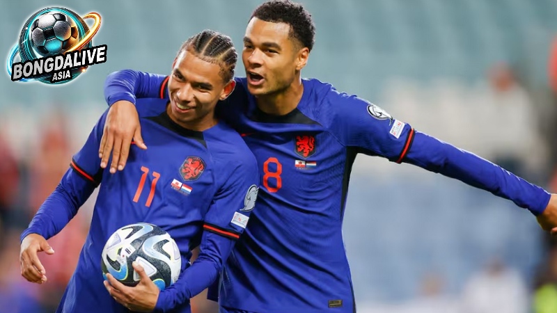 Kết quả bóng đá hôm nay: Bongdalive.asia cung cấp chính xác